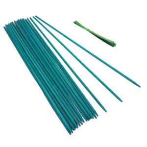 green bamboo sticks plant stakes, plant support sticks for indoor plants, gaginang sturdy bamboo stakes, floral plant support for indoor and outdoor plants 25 pack（18 inches）