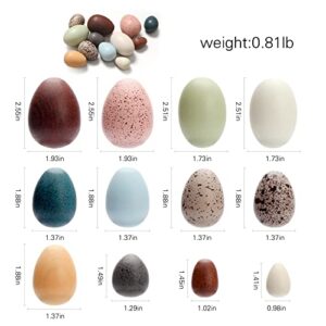 Wooden Artificial Bird Eggs - Faux Easter Speckled Eggs - Wooden Natural Bird Eggs - Species Identification Montessori Sorting Stacking Toy for Craft for Home Garden Decor