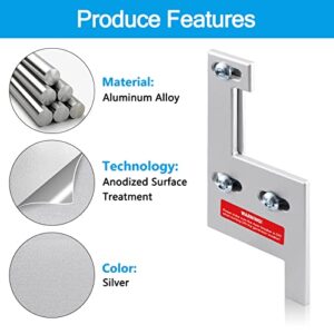 ACANORA Generator Interlock Kit for GE General Electeric Vertical Main 150 or 200 Amp Panels, 2 1/4 Inches Spacing, Silver