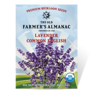 the old farmer's almanac heirloom lavender seeds (common english) - approx 360 seeds - non-gmo, open pollinated