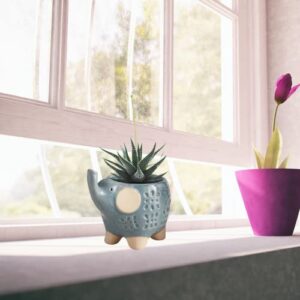 Needzo Mini Blue Ceramic Elephant Planter, Planters Pots for Succulents, Cute Elephants Decorations, Unique Gifts for Plant Lovers, 3.9 Inches