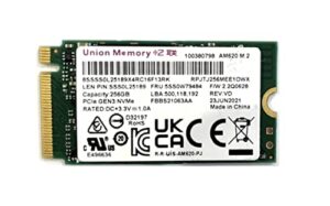 oem union memory 256gb m.2 pci-e nvme ssd internal solid state drive 42mm 2242 form factor m key