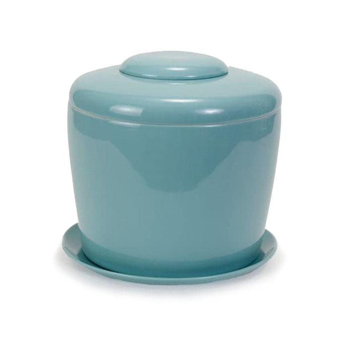 The Living Urn Indoors / Patio (Celadon Blue)