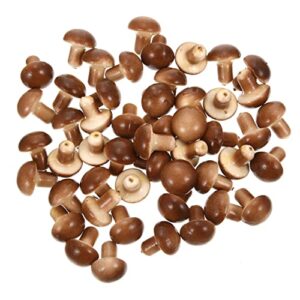 NOLITOY 50PCS Miniature Mushrooms Decorations Fairy Garden Miniature Mushroom Mini Mushrooms Figurines Micro Landscape Plant Pot Bonsai Cake Decor