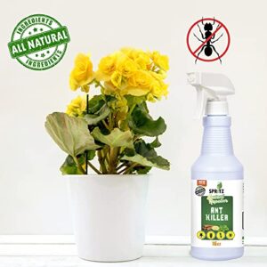 Spritz Ant Spray Indoor – Plant Based Petsafe - Non-Toxic Deterrent & Killer - USA-Made Works Instant On All Ant Types 16oz