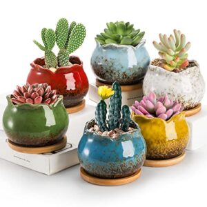 topzea set of 6 succulent plant pot, 4 inch glazed ceramic plant pots cactus succulent pot with drainage and saucer, mini bonsai planter small flower pot for indoor outdoor