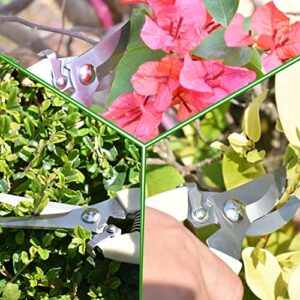 Pruning Shears Garden Scissors, Precision Bud Trimmer, Stainless Steel Blades, Shock-Absorbent Spring for Plant Trimming, Orchid Bark, Weed, Bonsai, Indoor or Outdoor Gardening Trimmer (2PC)