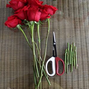 8" Bonsai Cutter Pruning Shear tool used for Gardening, Arranging Flowers, Trimming Plants, Branches, Stainless Steel Red White Handles