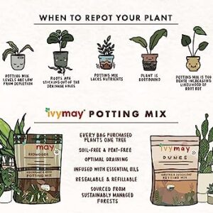 IvyMay Redwoods Potting Soil ― Organic Potting Mix for Indoor House Plants & Aroids, Ready to Use Potting Soil Indoor Plants with Perlite, Earthworm Castings, Essential Oils ― 4 qt