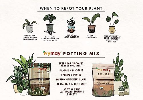 IvyMay Redwoods Potting Soil ― Organic Potting Mix for Indoor House Plants & Aroids, Ready to Use Potting Soil Indoor Plants with Perlite, Earthworm Castings, Essential Oils ― 4 qt