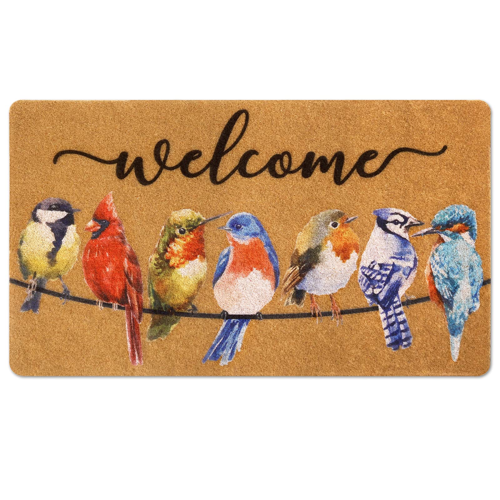 Birds On Wires Welcome Doormat, Durable Bird Welcome Rug Indoor Outdoor Hummingbird Cardinal Robin Non-Slip Rug for Entryway, Porch, Patio, Garage - 17 x 30 Inch