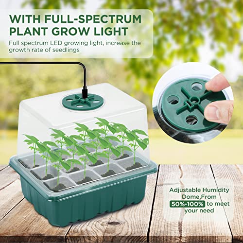 Seedfactor Seed Starter Tray with Light, 6PCS Seed Starter Kit with Grow Light, Seedling Starter Trays with Humidity Domes, Covers Height 3.9", Indoor Gardening Plant Germination Trays
