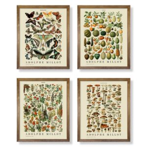 vintage botanical wall art - mushroom poster room decor - butterfly wall decor - flower botanical posters aesthetic - floral plants pcitures for kitchen dining room - lemon goblincore cottagecore