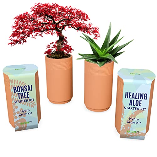 Bonsai Tree and Aloe Vera Plant Starter Kit, Sow and Grow Bonsai and Healing Aloe, Aloe Vera and Bonsai Tree Seeds with Indoor Self-Watering Terracotta Planter Pots, Plant Lover Gift & DIY Adult Craft