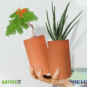 Bonsai Tree and Aloe Vera Plant Starter Kit, Sow and Grow Bonsai and Healing Aloe, Aloe Vera and Bonsai Tree Seeds with Indoor Self-Watering Terracotta Planter Pots, Plant Lover Gift & DIY Adult Craft