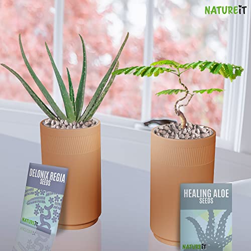 Bonsai Tree and Aloe Vera Plant Starter Kit, Sow and Grow Bonsai and Healing Aloe, Aloe Vera and Bonsai Tree Seeds with Indoor Self-Watering Terracotta Planter Pots, Plant Lover Gift & DIY Adult Craft