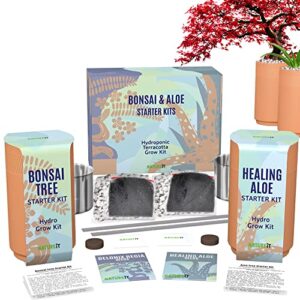 Bonsai Tree and Aloe Vera Plant Starter Kit, Sow and Grow Bonsai and Healing Aloe, Aloe Vera and Bonsai Tree Seeds with Indoor Self-Watering Terracotta Planter Pots, Plant Lover Gift & DIY Adult Craft