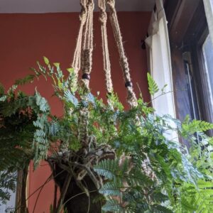 Shineloha 43 Inches Macrame Planter Hanger Large for 12 inch Pot + Swag Hook (Extra Long & Big) | No Tassel, Cotton Rope | Hanging Planter for Indoor Plants, NO Pot/Plant Included (Brown)…