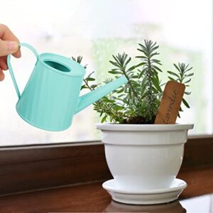 Happyyami Succulent Kettle Flowerpot Flowers Decoration Metal Pitcher Kids Mini Toys Flower Water Pot Mini Watering Can Small Watering Can Kettle for Watering Gardening Tool Kids Toy Plant