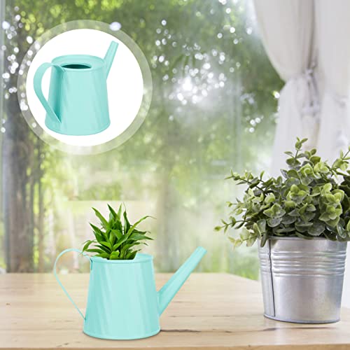 Happyyami Succulent Kettle Flowerpot Flowers Decoration Metal Pitcher Kids Mini Toys Flower Water Pot Mini Watering Can Small Watering Can Kettle for Watering Gardening Tool Kids Toy Plant