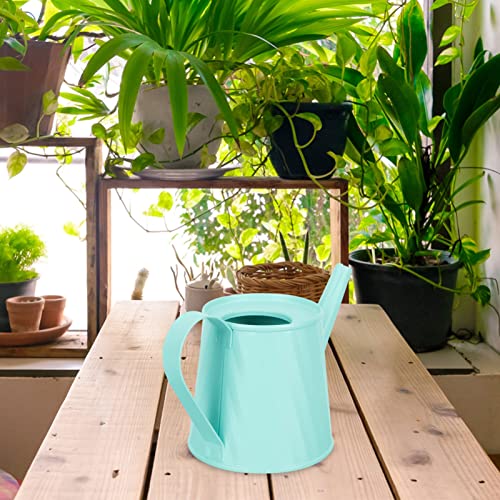 Happyyami Succulent Kettle Flowerpot Flowers Decoration Metal Pitcher Kids Mini Toys Flower Water Pot Mini Watering Can Small Watering Can Kettle for Watering Gardening Tool Kids Toy Plant