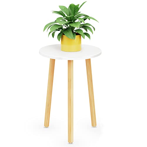 Plant Stand Indoor, 16.5 in Tall Plant Stand Indoor, Wood Plant Stand White, Plant Stool, Plant Stands for Indoor Plants, Small Side Table, Plant Tables, Small Round Mid Century Modern Plant Stand