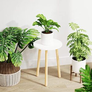 Plant Stand Indoor, 16.5 in Tall Plant Stand Indoor, Wood Plant Stand White, Plant Stool, Plant Stands for Indoor Plants, Small Side Table, Plant Tables, Small Round Mid Century Modern Plant Stand