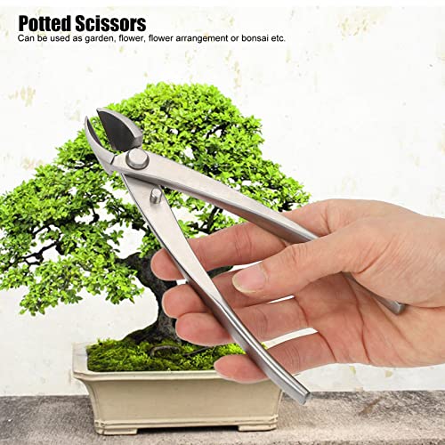 Haofy 165mm Branch Cutter, Bonsai Tools Concave Cutter Stainless Steel Scissor, Pruning Shears for Gardening Indoor Plants