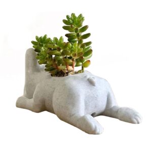 MISNODE Succulent Planter Pots, Cute Dog Flower Pots Air Plant Holder, French Bulldog Shape Resin Succulent Planter Desktop Plant Pot Bonsai for Home Garden Office Tabletop Decor