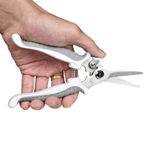 Yojii- Pruning Shears, Gardening Scissors, Pruning Shears, Natural Flower Scissors, Fruit Trees, Garden Trees, Bonsai Pruning Tools for Gardening, Farm Work, Home Gardening