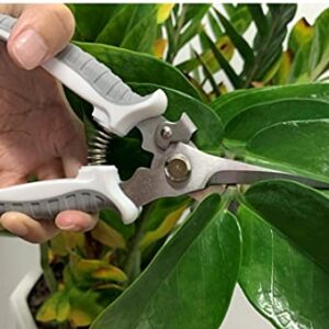 Yojii- Pruning Shears, Gardening Scissors, Pruning Shears, Natural Flower Scissors, Fruit Trees, Garden Trees, Bonsai Pruning Tools for Gardening, Farm Work, Home Gardening