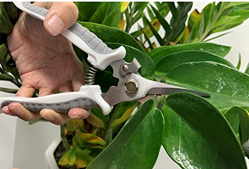 Yojii- Pruning Shears, Gardening Scissors, Pruning Shears, Natural Flower Scissors, Fruit Trees, Garden Trees, Bonsai Pruning Tools for Gardening, Farm Work, Home Gardening