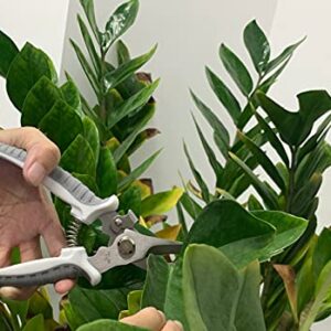 Yojii- Pruning Shears, Gardening Scissors, Pruning Shears, Natural Flower Scissors, Fruit Trees, Garden Trees, Bonsai Pruning Tools for Gardening, Farm Work, Home Gardening