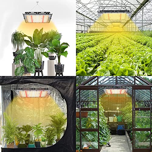 Grow Lights for Indoor Plants,Engilen 400W Full Spectrumg Grow Light, 3 Types Dimmable, Remote Control, Suitable for Indoor Plants,Micro Greens,Clones,Succulents,Seedlings.