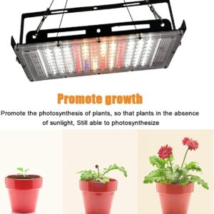 Grow Lights for Indoor Plants,Engilen 400W Full Spectrumg Grow Light, 3 Types Dimmable, Remote Control, Suitable for Indoor Plants,Micro Greens,Clones,Succulents,Seedlings.