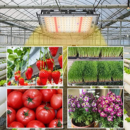 Grow Lights for Indoor Plants,Engilen 400W Full Spectrumg Grow Light, 3 Types Dimmable, Remote Control, Suitable for Indoor Plants,Micro Greens,Clones,Succulents,Seedlings.