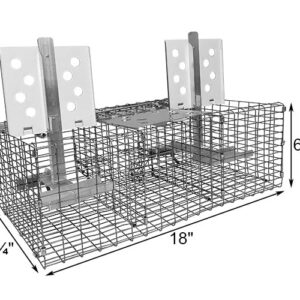 Troyer's Birds' Paradise Wire Sparrow Trap