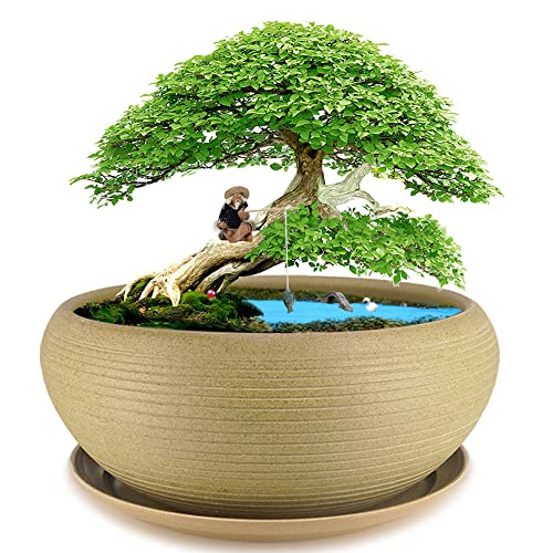 MUZHI 10” Round Large Ceramic Bonsai Bowl Planter，Clay Succulent Plant Pot Container with Saucer