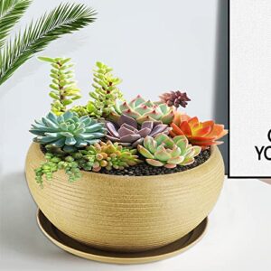 MUZHI 10” Round Large Ceramic Bonsai Bowl Planter，Clay Succulent Plant Pot Container with Saucer