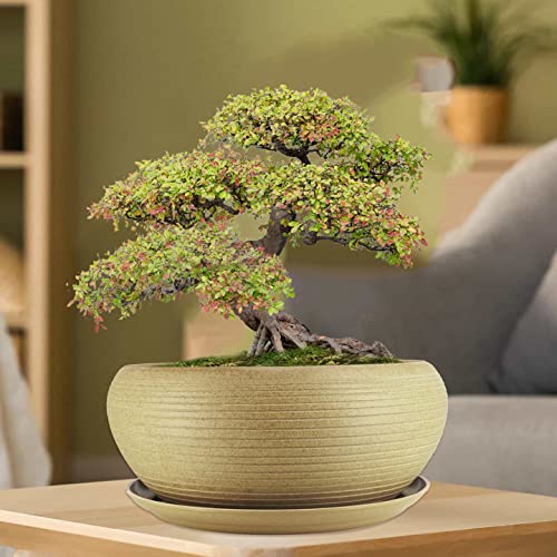 MUZHI 10” Round Large Ceramic Bonsai Bowl Planter，Clay Succulent Plant Pot Container with Saucer