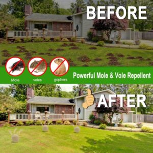 Whemoalus Mole Repellent Balls for Outdoor,Rodent Repeller for Outdoor,Vole Repellent Gopher Repellent Balls, Mothballs for Rodents Outdoor,Keep Moles and Voles Out of Your Lawn and Garden 8 Balls/Bag