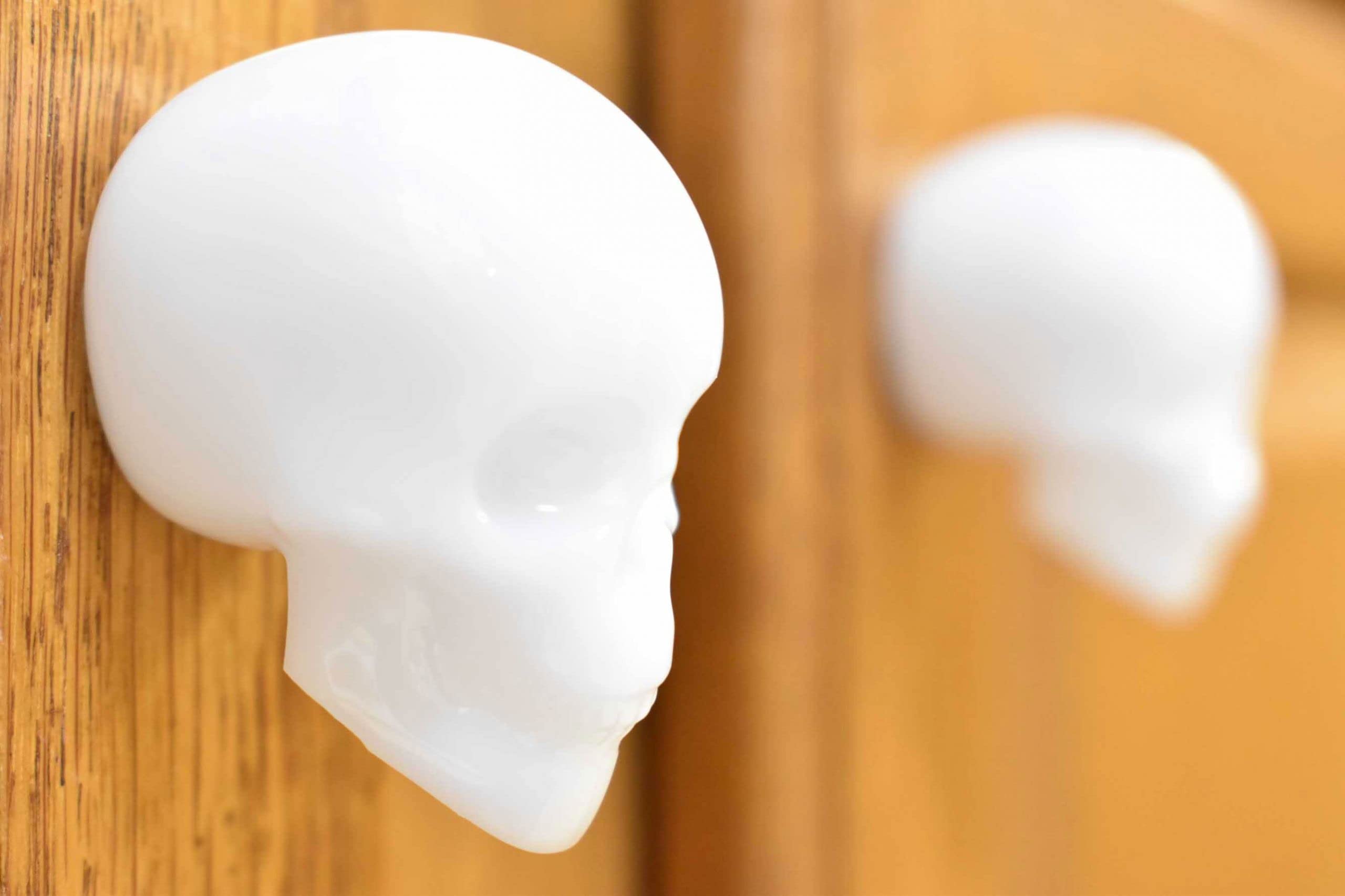 White Skull Door Knobs Drawer Knobs (Set of 2)