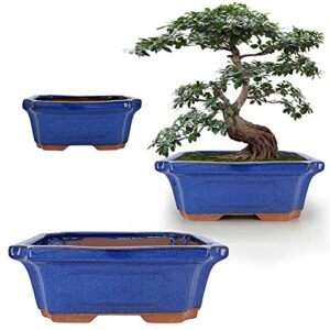 muzhi 3 pack ceramic rectangular bonsai tree planter pot set 6”+7”+9”, cactus succulent planter blue glazed with mesh hole screens