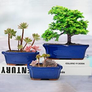 MUZHI 3 Pack Ceramic Rectangular Bonsai Tree Planter Pot Set 6”+7”+9”, Cactus Succulent Planter Blue Glazed with Mesh Hole Screens