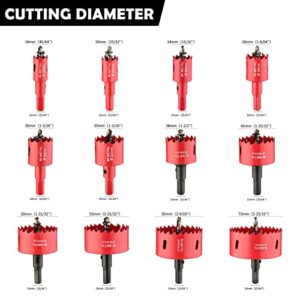 dashap 12PCS Bi-Metal Carbide Hole Saw Kit with Drill Bits for Thin Metal and Wood,Cutting Diameter 45/64'' to 2-15/16'',for Gerneral Purpose