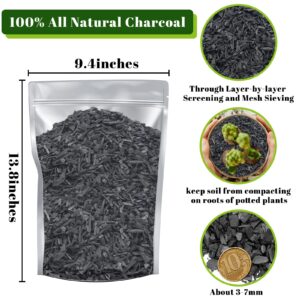 Legigo 4QT All Natural Horticultural Charcoal- Activated Hardwood Plant Charcoal for Soil Amendment, Conditioning Bonsai Soil, Succulent Soil, Terrarium Supplies, Indoor Plant Potting Soil