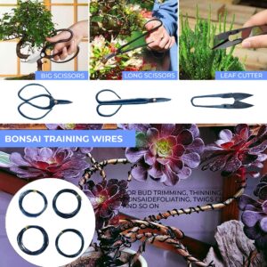 Bonsai Tools Set 15 Pcs High Carbon Steel - Planting Gardening Trimming Tools Set Include Pruning Shears, Scissors, Mini Rake, Round, Pointed Shovel, Training Wire in PU Leather Bag