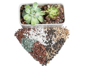 bonsai succulent soil potting mix ready to use azalea orchid grow potting soil plant decorative cover for cactus 2.2lb perlite pumice lava rocks for plants