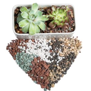 Bonsai Succulent Soil Potting Mix Ready to use Azalea Orchid Grow Potting Soil Plant Decorative Cover for Cactus 2.2LB Perlite Pumice Lava Rocks for Plants