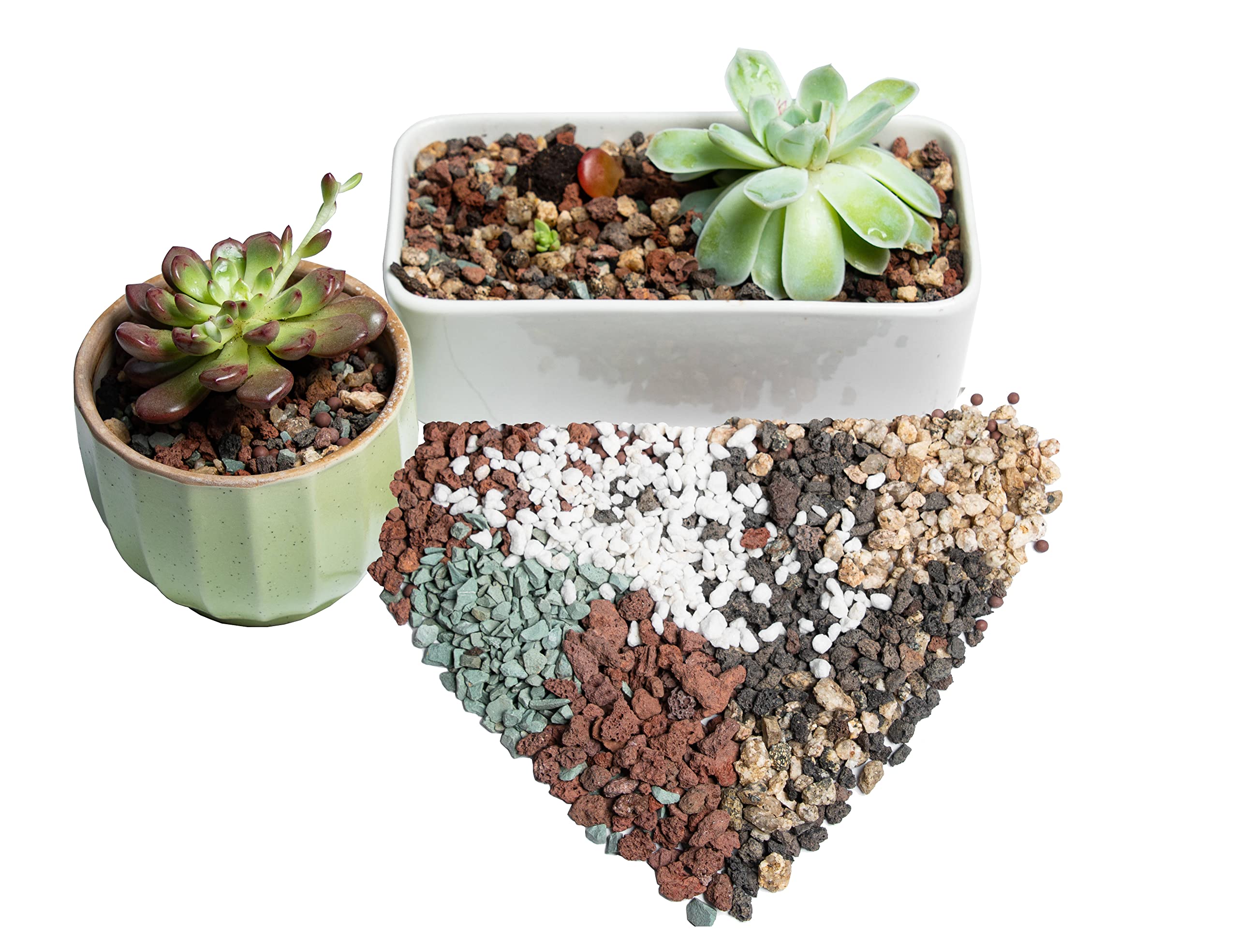 Bonsai Succulent Soil Potting Mix Ready to use Azalea Orchid Grow Potting Soil Plant Decorative Cover for Cactus 2.2LB Perlite Pumice Lava Rocks for Plants